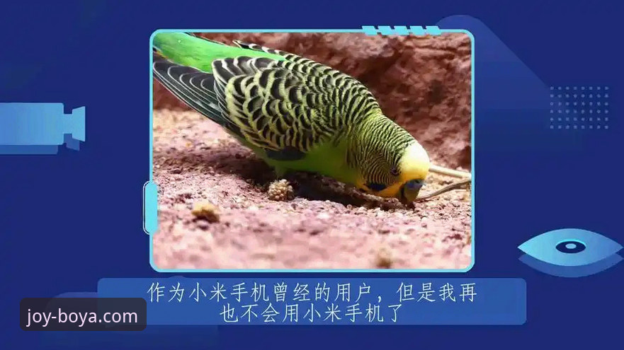 博亚娱乐电脑版对比 博亚娱乐电脑版与手机版对比选择指南:老用户教你如何玩转2026新版